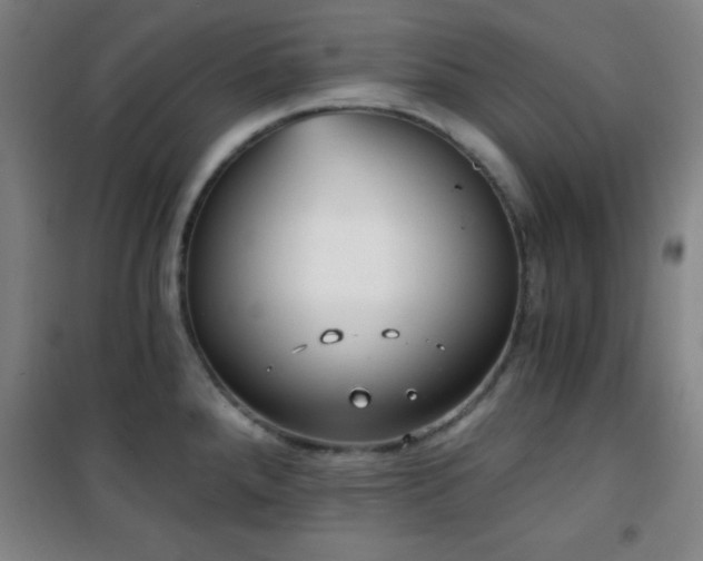 X0000101651288200807101222