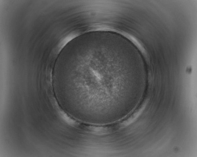 X0000101651289200807101222