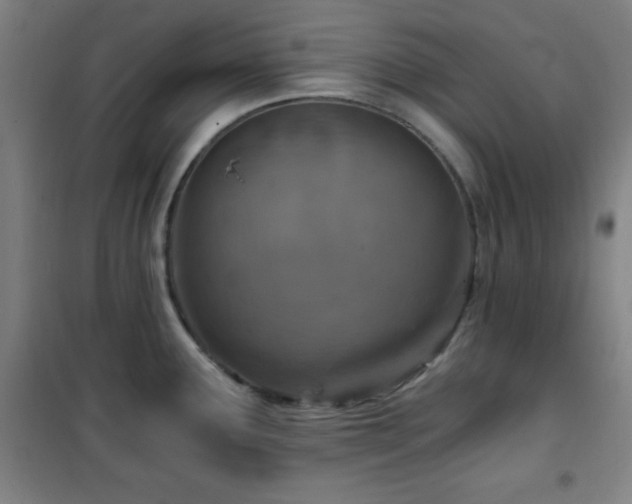 X0000101651291200807101222