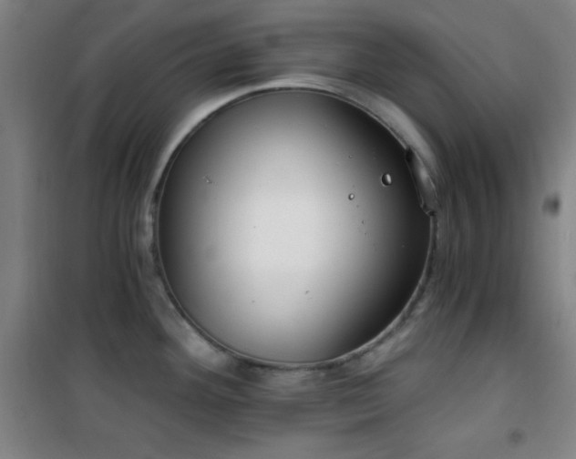 X0000101651292200807101222