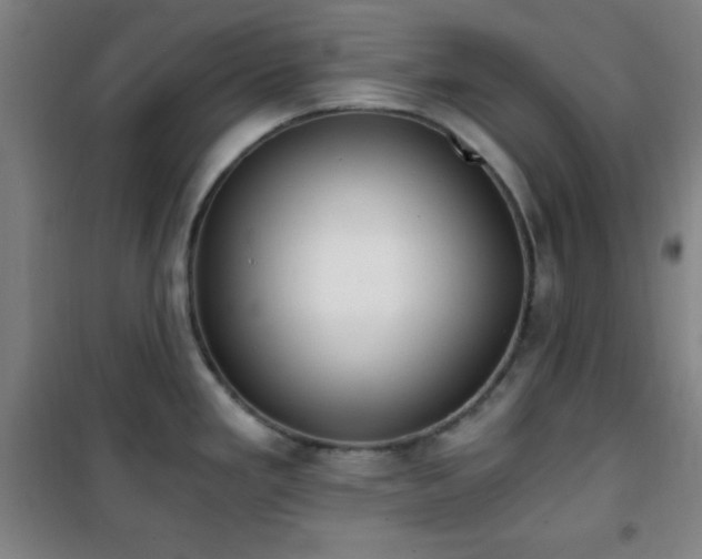 X0000101651293200807101222
