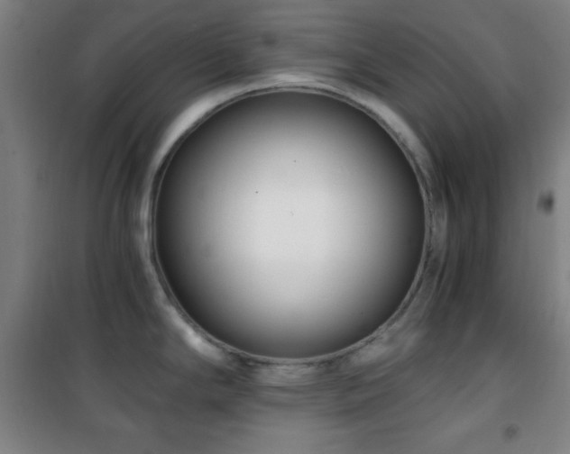 X0000101651294200807101222