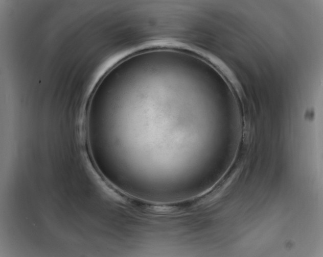 X0000101651295200807101222