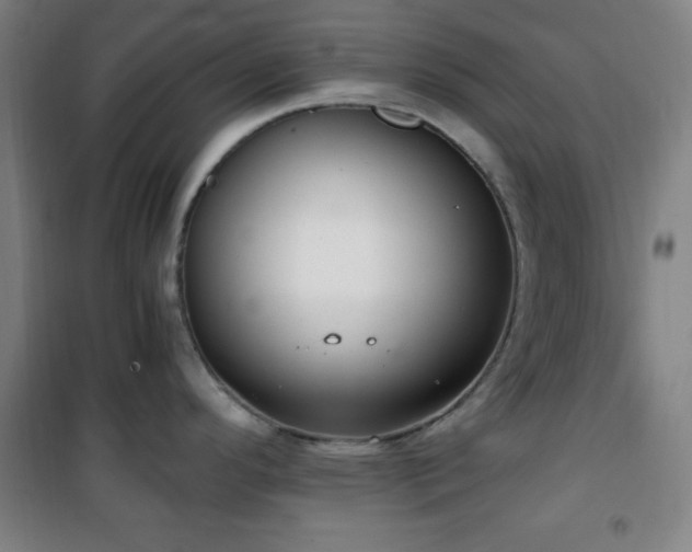 X0000101651296200807101222