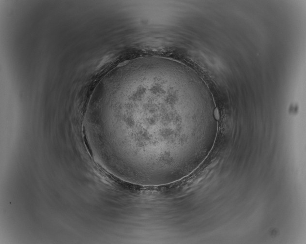 X0000101651297200807101222