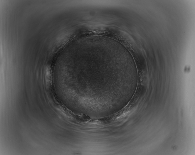 X0000101651298200807101222