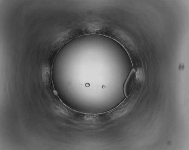 X0000101651299200807101222