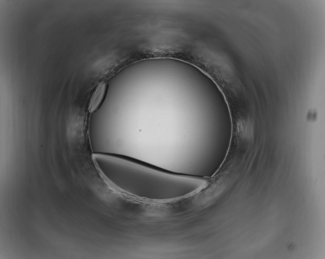 X0000101651300200807101222