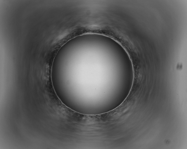 X0000101651301200807101222