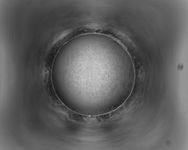 X0000101651302200807101222