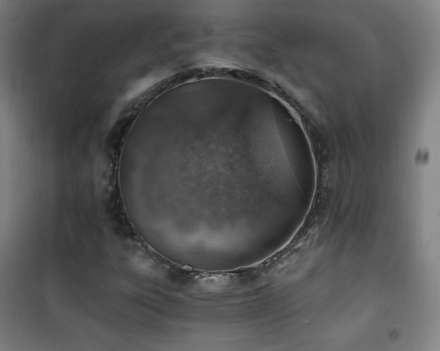 X0000101651303200807101222