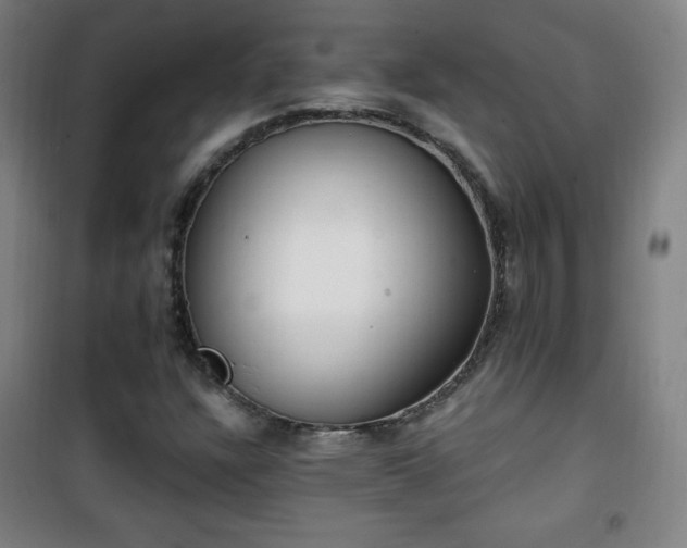 X0000101651304200807101222