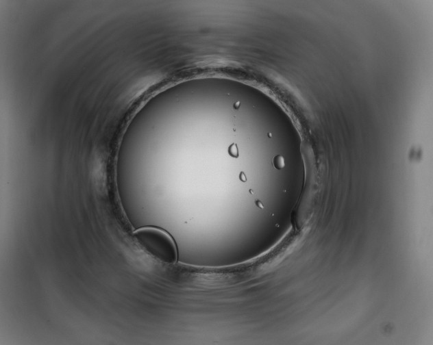 X0000101651305200807101222