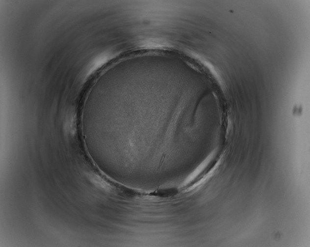 X0000101651306200807101222
