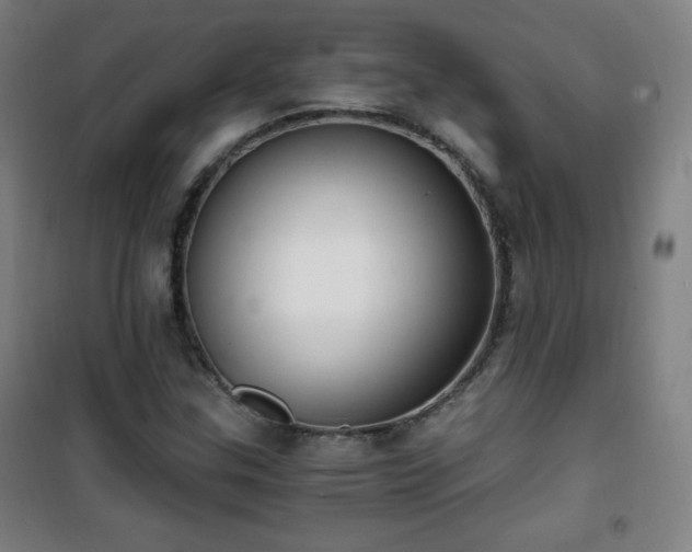 X0000101651307200807101222