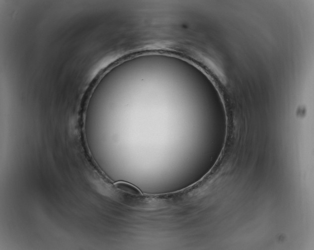 X0000101651308200807101222