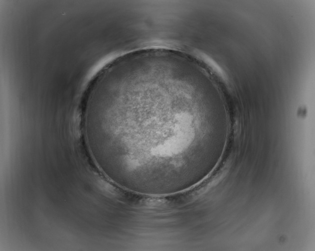 X0000101651310200807101222