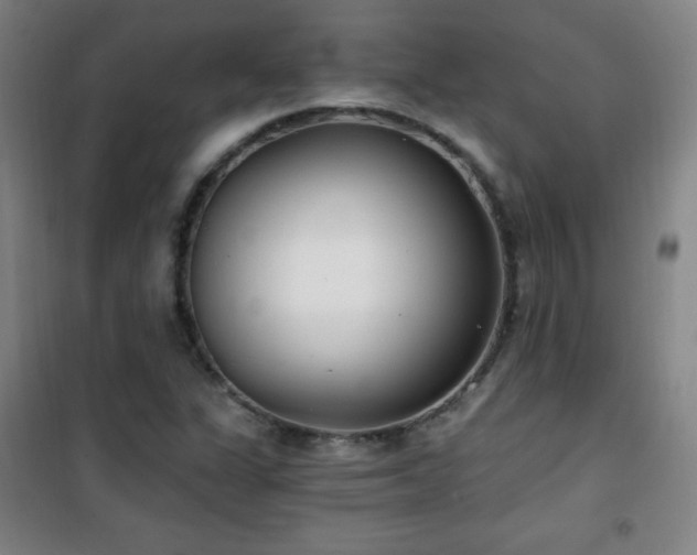 X0000101651311200807101222