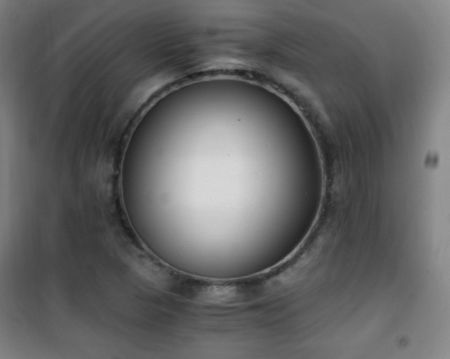 X0000101651313200807101222