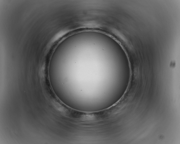 X0000101651315200807101222