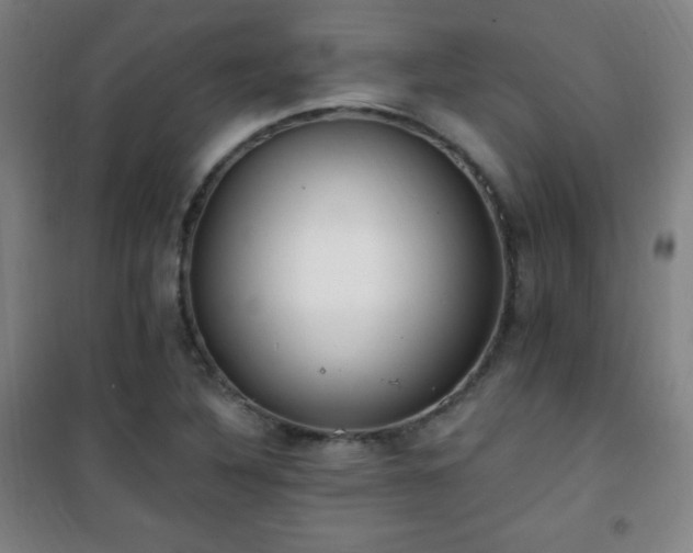 X0000101651316200807101222