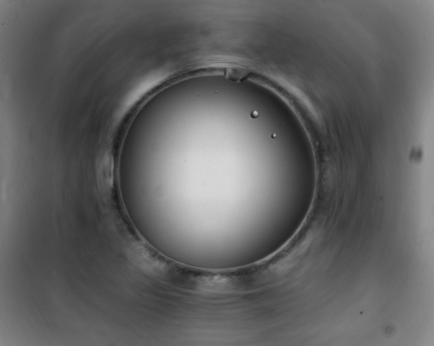 X0000101651317200807101222