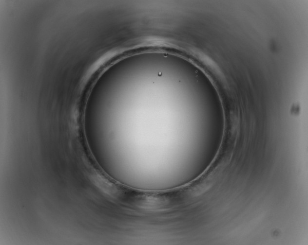 X0000101651318200807101222