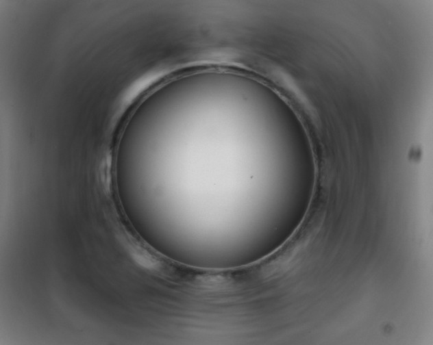 X0000101651320200807101222