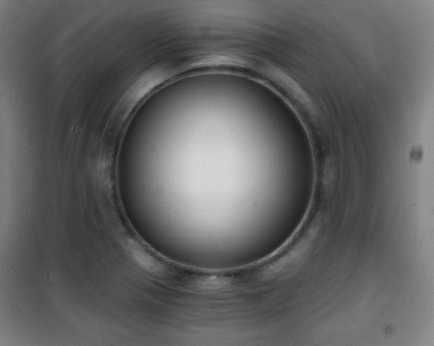 X0000101651321200807101222