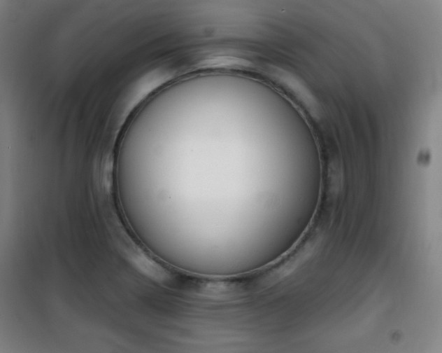 X0000101651322200807101222