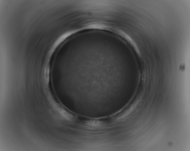 X0000101651323200807101222