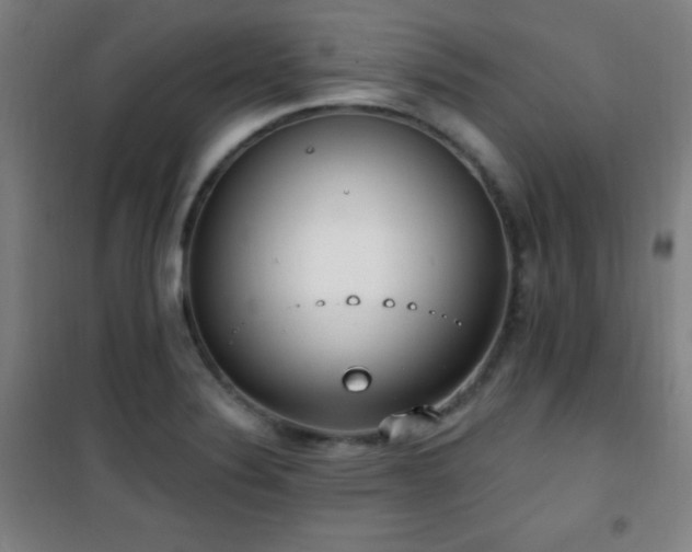 X0000101651324200807101222