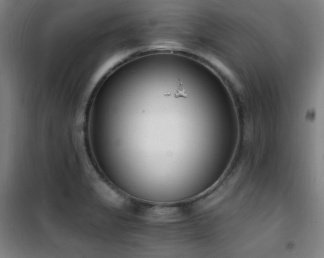 X0000101651325200807101222