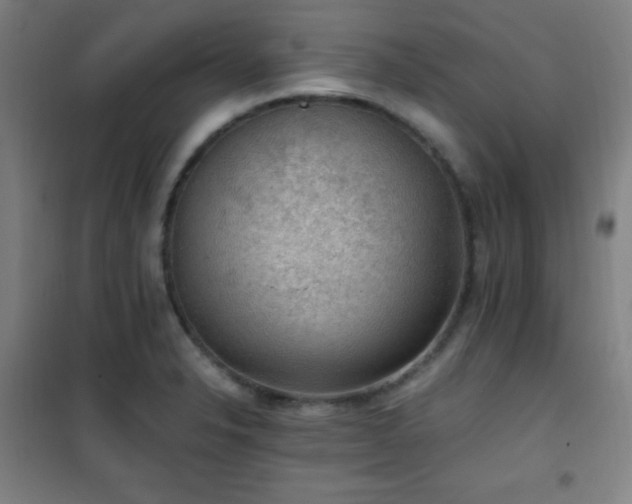 X0000101651326200807101222