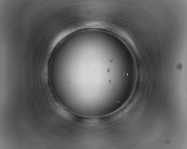 X0000101651328200807101222