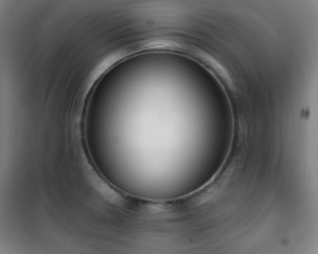 X0000101651330200807101222