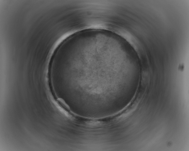 X0000101651331200807101222