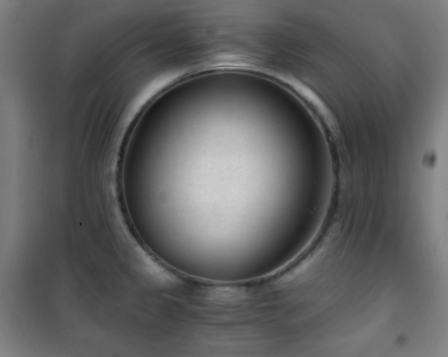 X0000101651333200807101222
