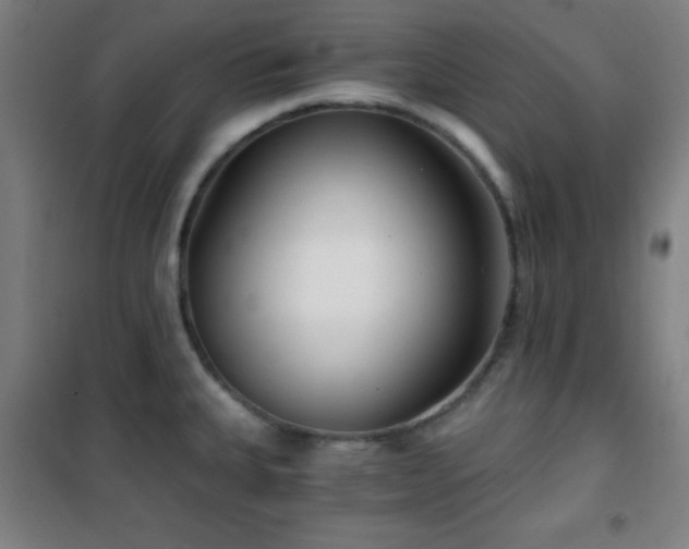 X0000101651335200807101222