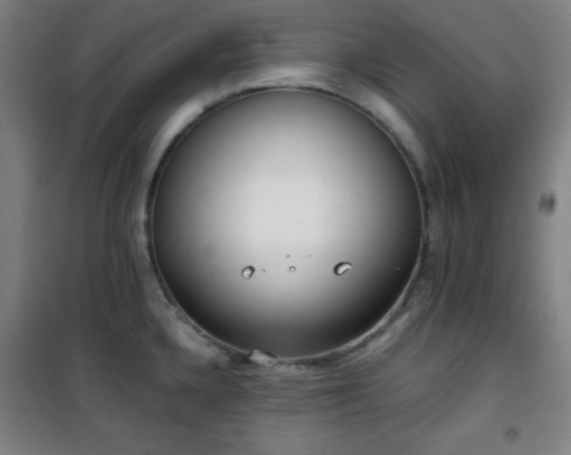 X0000101651336200807101222