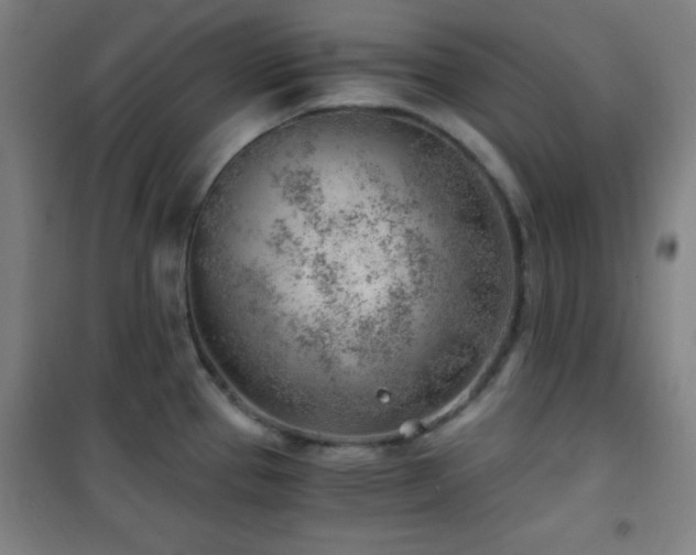 X0000101651337200807101222