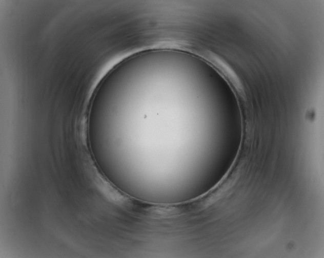 X0000101651340200807101222