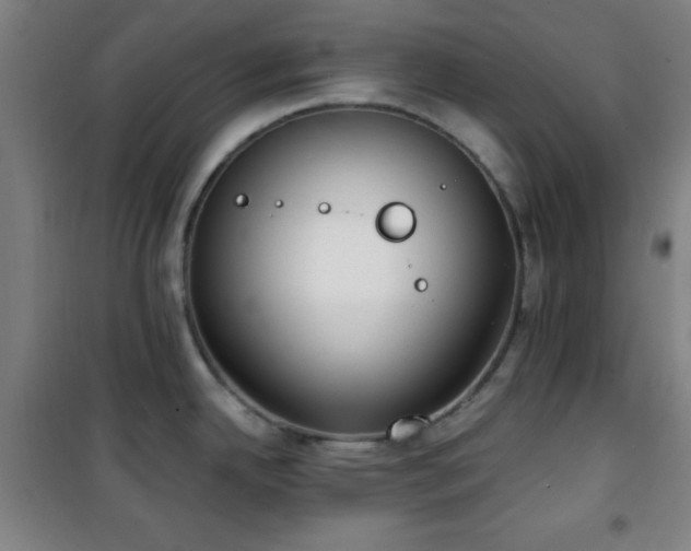 X0000101651342200807101222