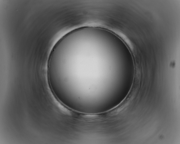 X0000101651343200807101222
