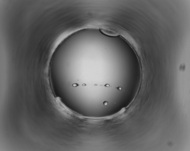 X0000101651344200807101222