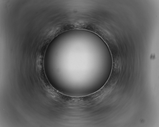 X0000101651346200807101222