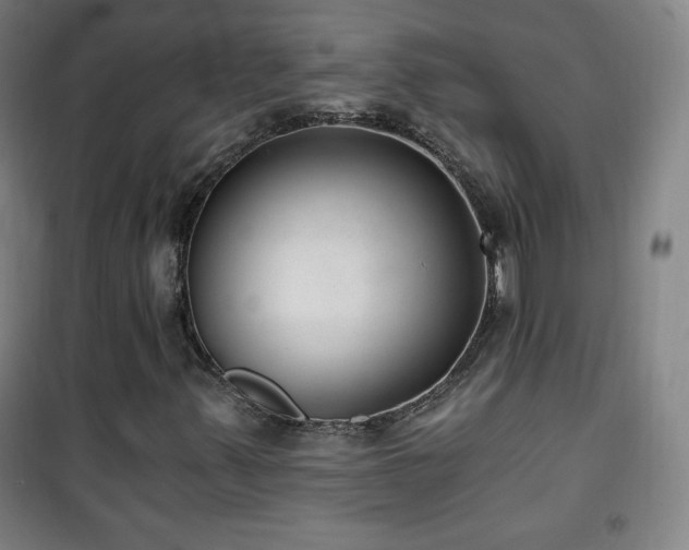 X0000101651347200807101222