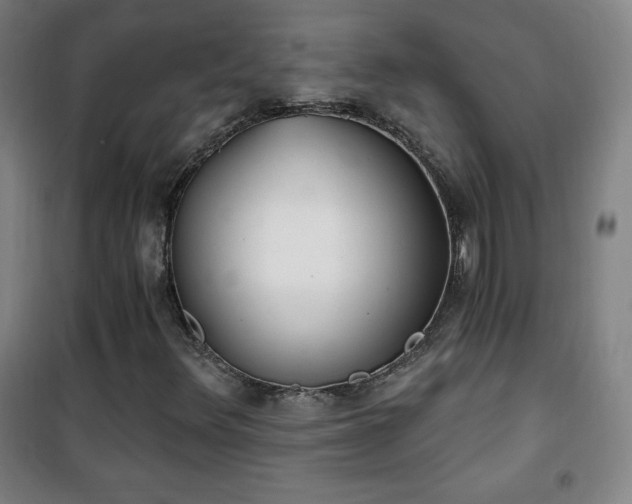 X0000101651348200807101222