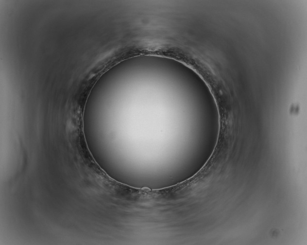 X0000101651349200807101222