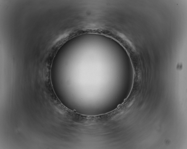 X0000101651350200807101222